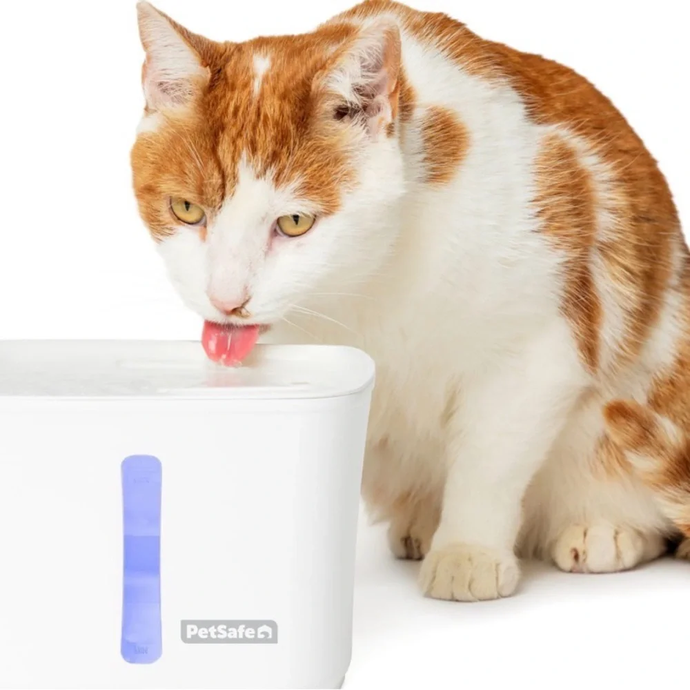 PetSafe Viva Pet Fountain in White with Blue Accent